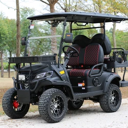 Modern Design Electric Sightseeing Buggy Club Car 2+2 Seats Golf Cart With Lithium Battery