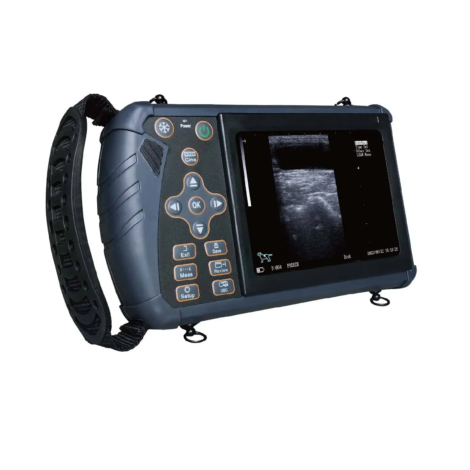 

Veterinary Ultrasound Equipment Mindray Color 5.6 Inch LED Mdeidcal Display Handheld Digital Veterinary Ultrasound