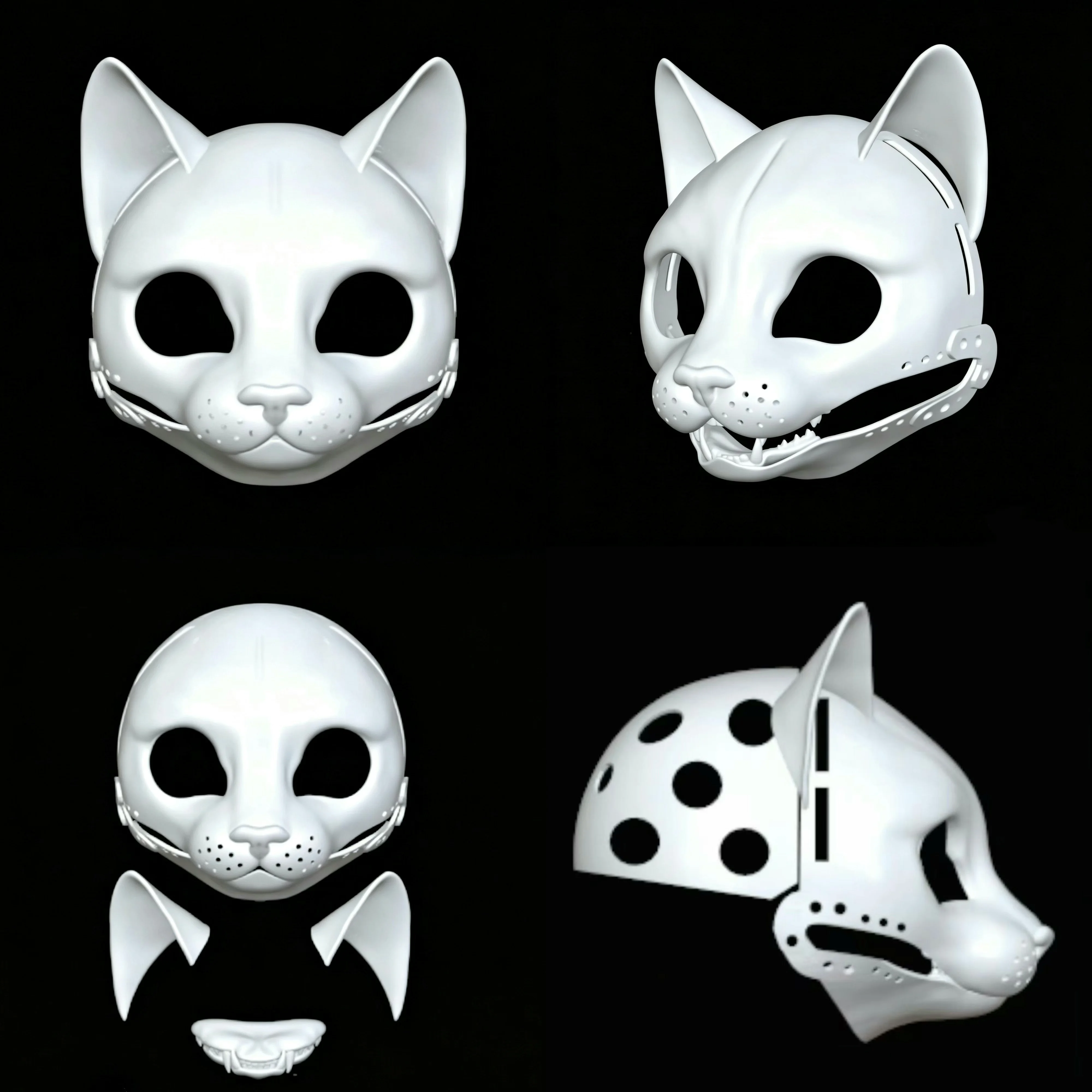 

Original 3D Printed Realistic Cat Wide/narrow Movable Jaw Feline Skull PETG Material