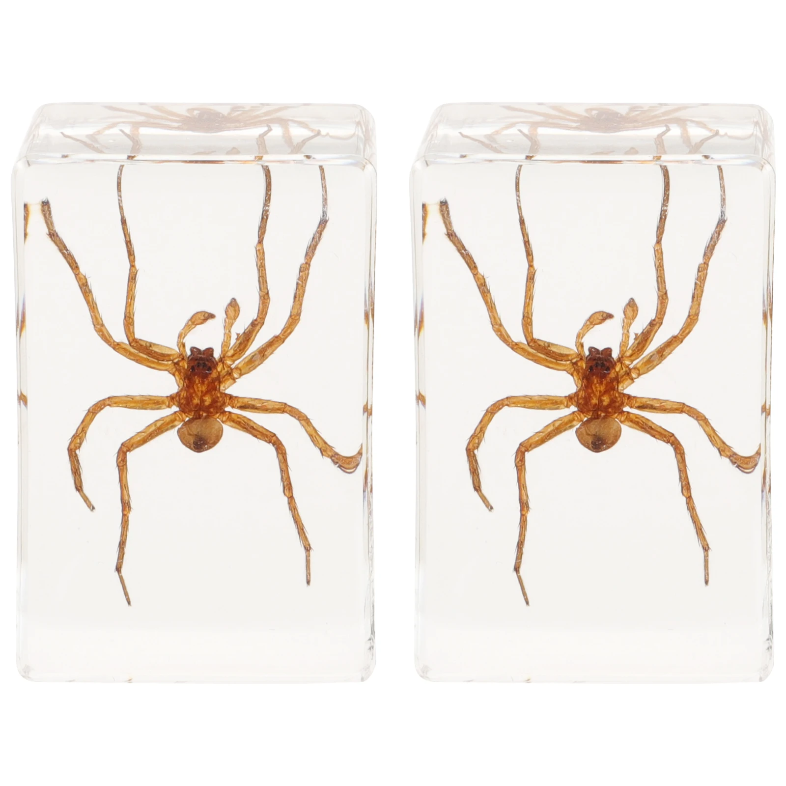 

2 Pcs Indoor Insect Book Town Ornament Resin Specimen Decor Crystal Ornaments Travel