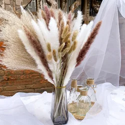 100/70Pcs Pampas Dried Flowers Natural Boho Decor Bulrush Reed Grass for Vase Filler Farmhouse Home Party Wedding Arrangement