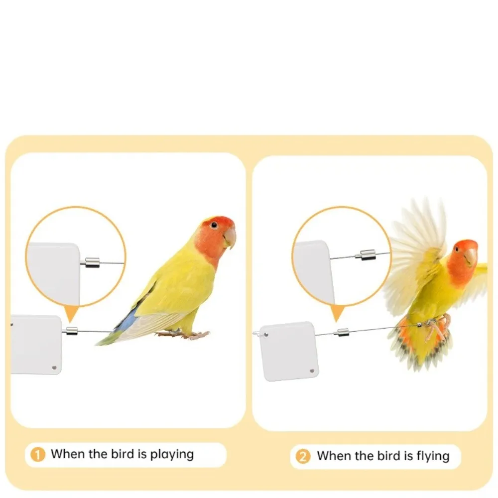 With Auto Flying Control Bird Training Leash Auto Retractable Fun Parrot Release Rope Adjustable Cockatiel Harness Leashes
