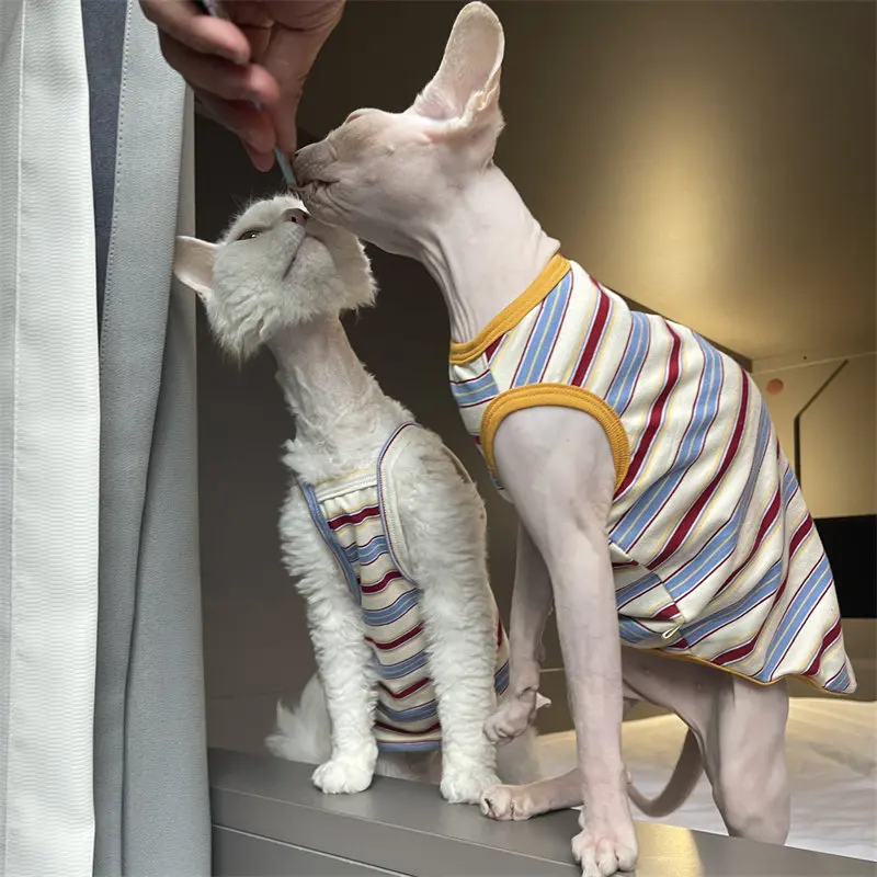 Camiseta de verano para gatos sin pelo - Devon Rex y Sphynx - imagen 4