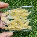 GD38 20pcs 13