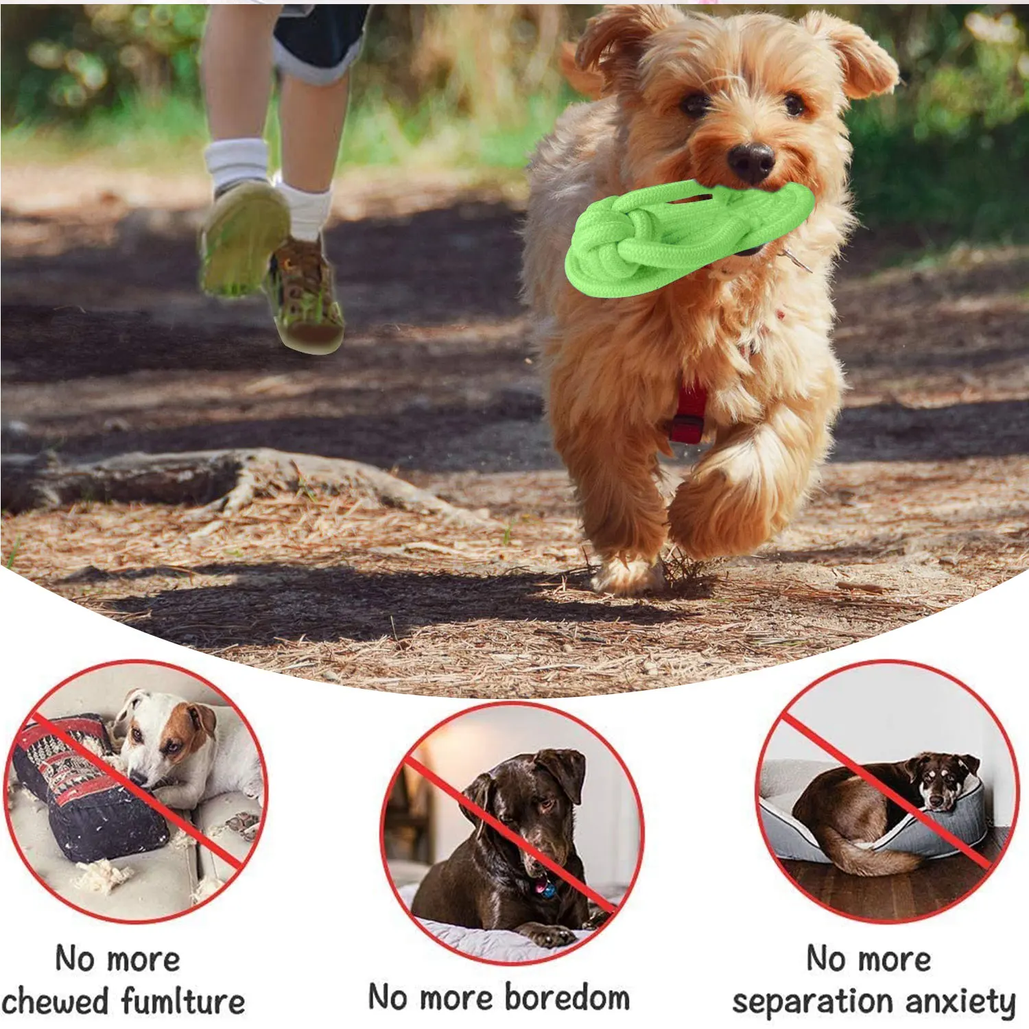 Dog Chewing Toy Cotton Slipper Rope Toy for Small Large Dogs Pet Teeth Training Molar Toys Interactive Dog Toy Dog Accessories