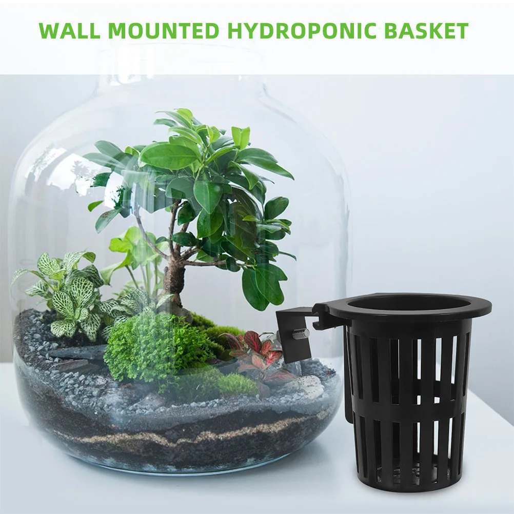 Cesta hidropónica para acuario, contenedor de cultivo montado en la pared para aireación de raíces saludable, Mini cesta colgante, cultivo hidropónico, 6 uds.