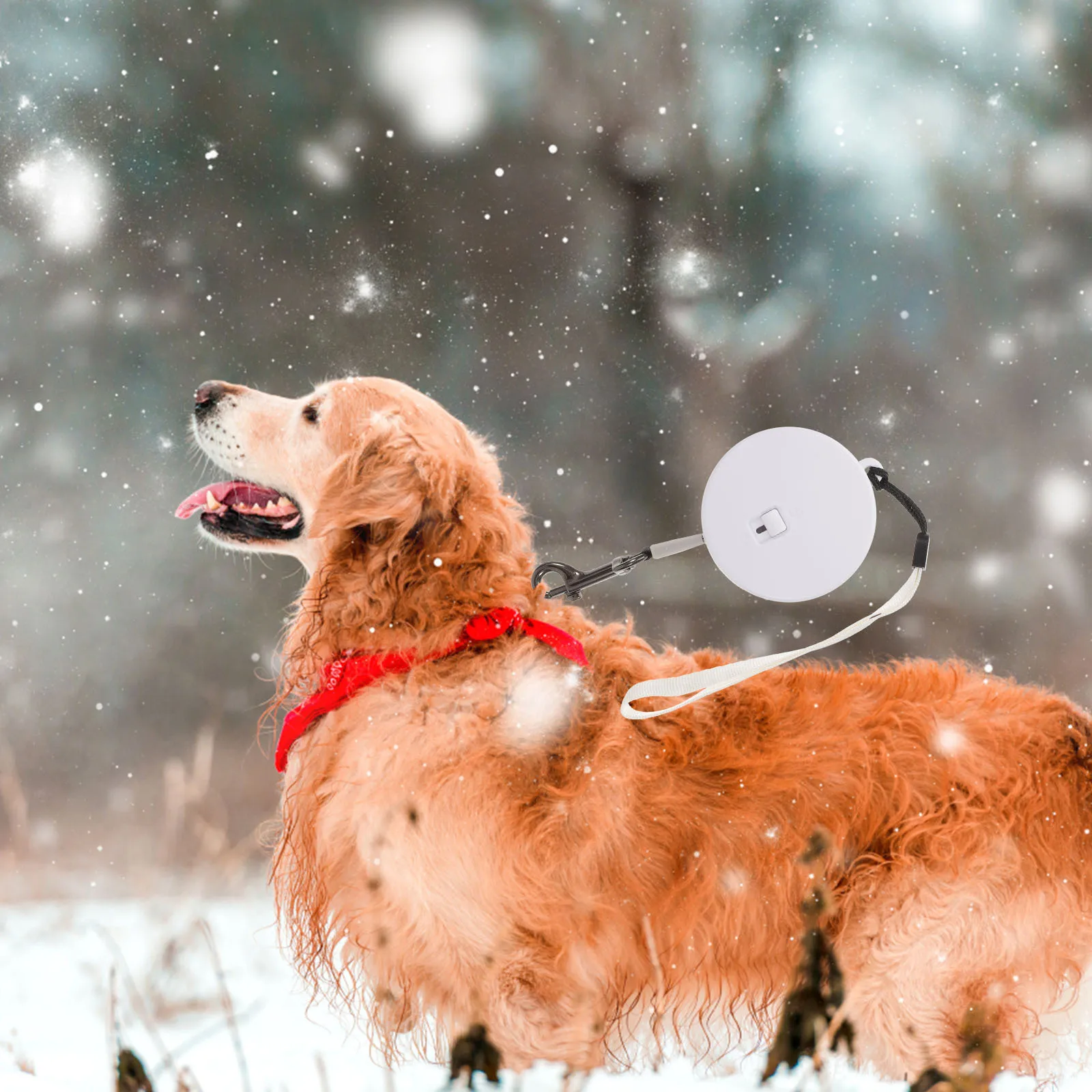 

Retractable Dog Rope Adjustable Leash Outdoor Walking Safety Durable Dog Leash for Small Medium Dogs Puppy Rope