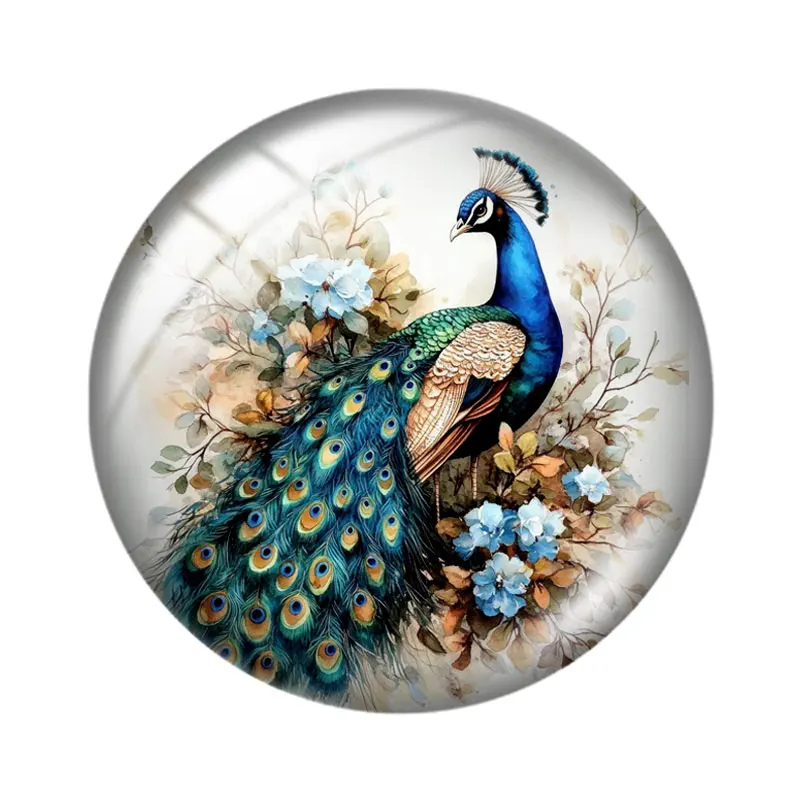 رائعتين الطاووس كليبست 10 قطعة 12 مللي متر/16 مللي متر/18 مللي متر/25 مللي متر صورة مستديرة الزجاج كابوشون التجريبي شقة عودة صنع النتائج