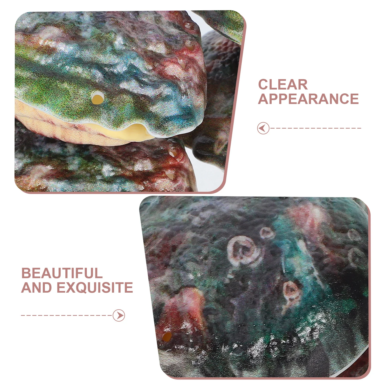 Pulverizadores de agua de abulón con prensa, diseño único, ligeros y duraderos para piscina de verano, playa, diversión al aire libre, 4 Uds.