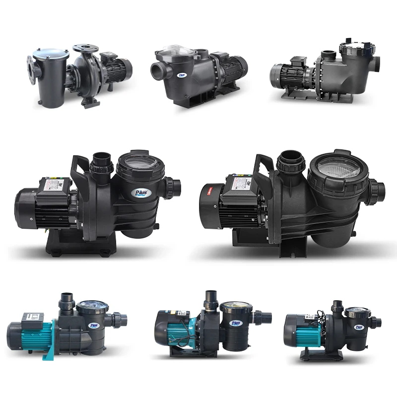 New PB Water Pump for Swimming Pool 2HP 3HP 4HP High Power Water Pump Hot Selling Circulation Pool Pump