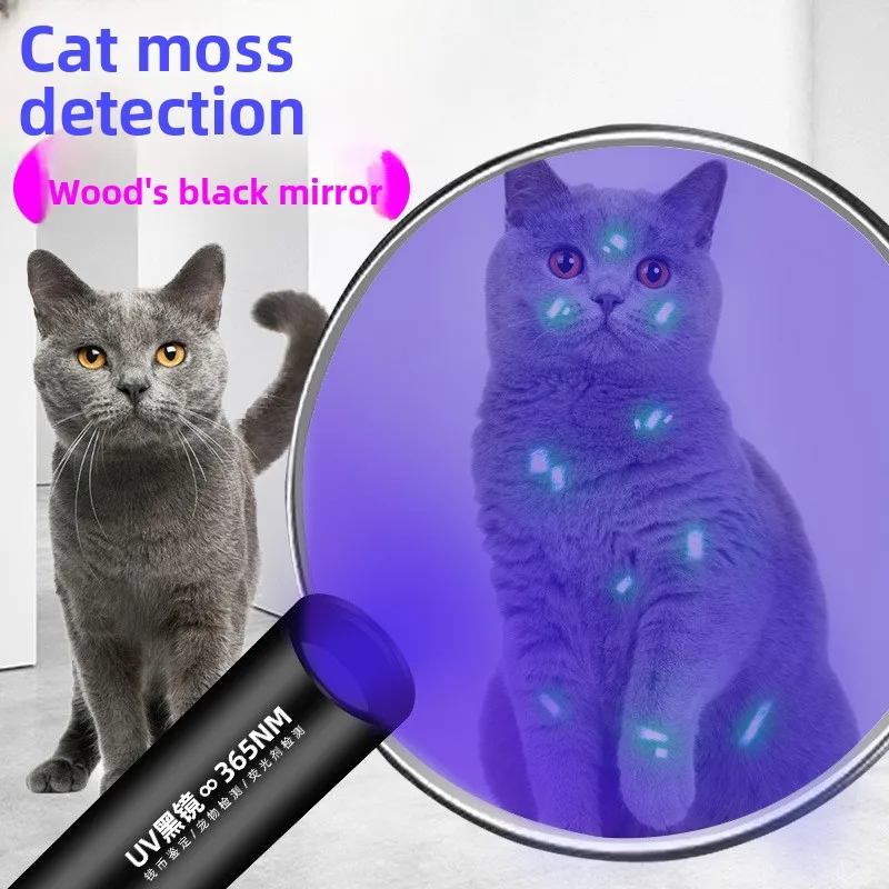 

УФ-лазерная указка-игрушка для животных, USB-перезаряжаемая флуоресцентная лампа, интерактивная пластиковая игрушка для собак всех возрастов