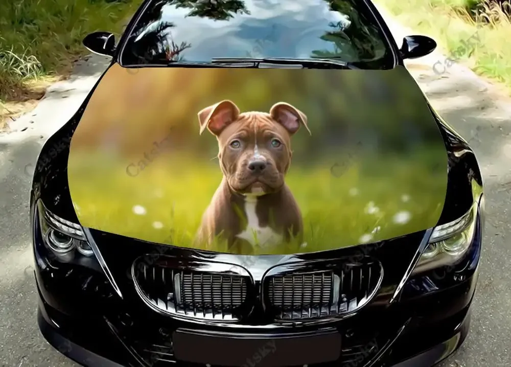 Staffordshire Bull Terrier Dog Car Hood Vinyl Stickers Wrap Vinyl Film Engine Cover Decals Sticker on Car Auto Accessories