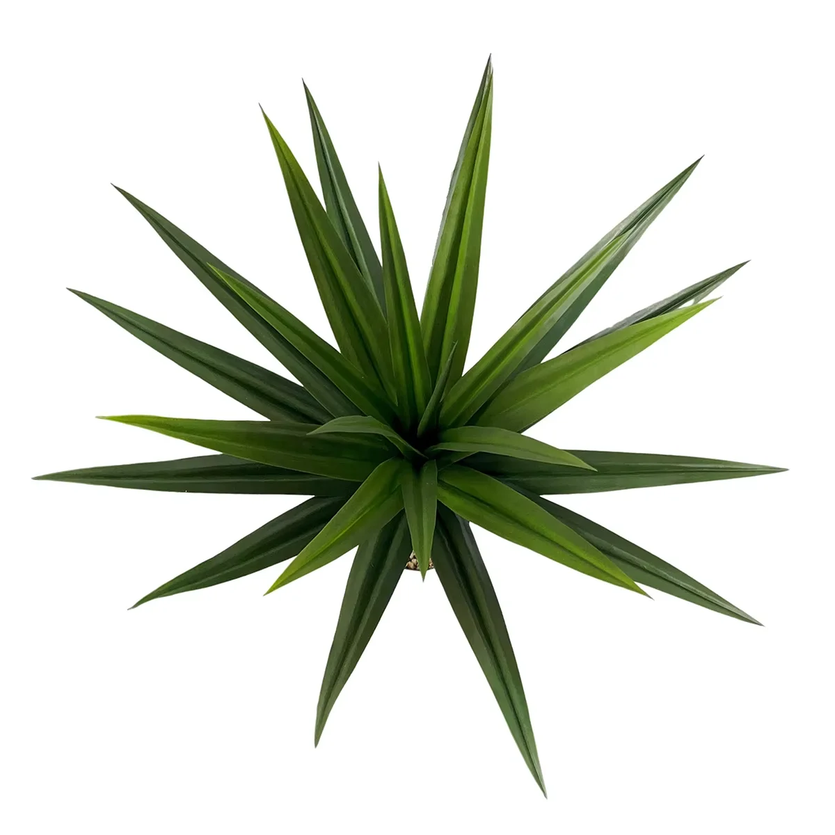 HXGYZP Palm Tree Tropical Plan - огляд і ціна Home Office Simulator