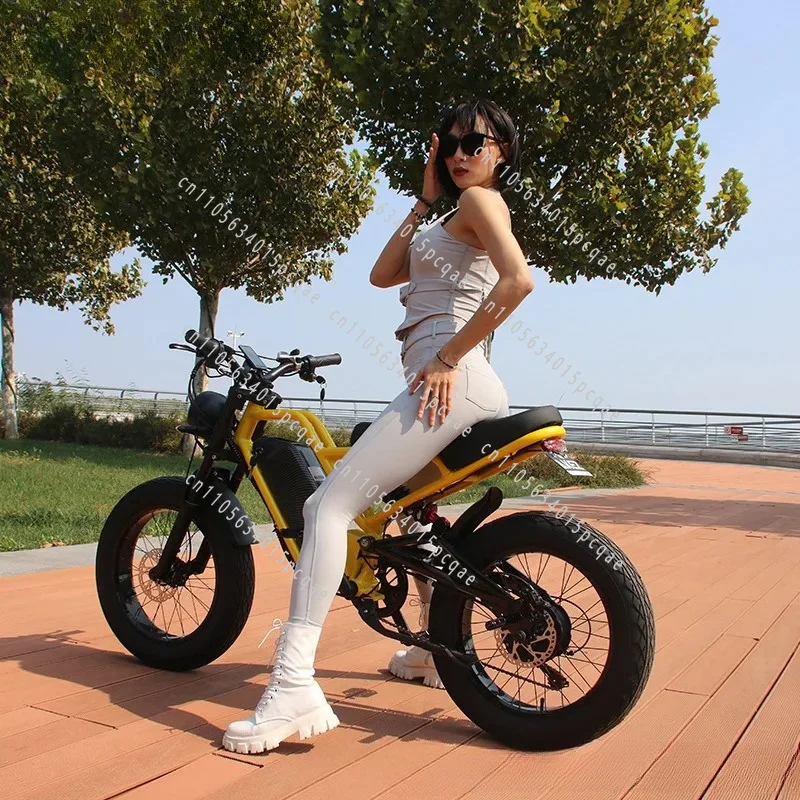 Warehouse AKEZ EBIKE 20 Inch Lithium Battery Off-road Aluminum Alloy Soft Tail Car Snow-assisted Motorcycle