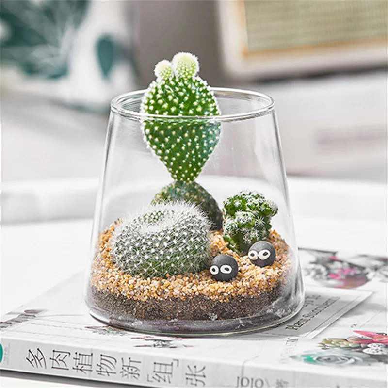 マイクロランドスケープガラスボトル,緑の多肉植物の花瓶,サボテン