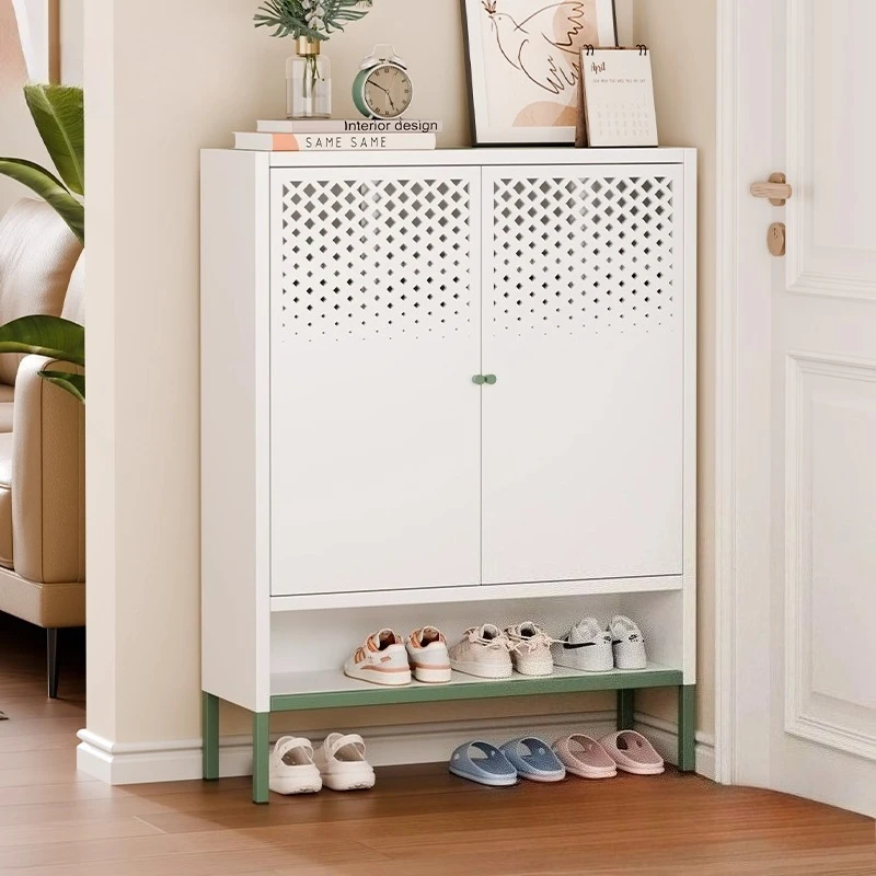 

Modern Deluxe Steel Shoe Cabinet Storage Cabinet Locker Furniture Shoerack shoe rack organizer living room cabinets Furniture