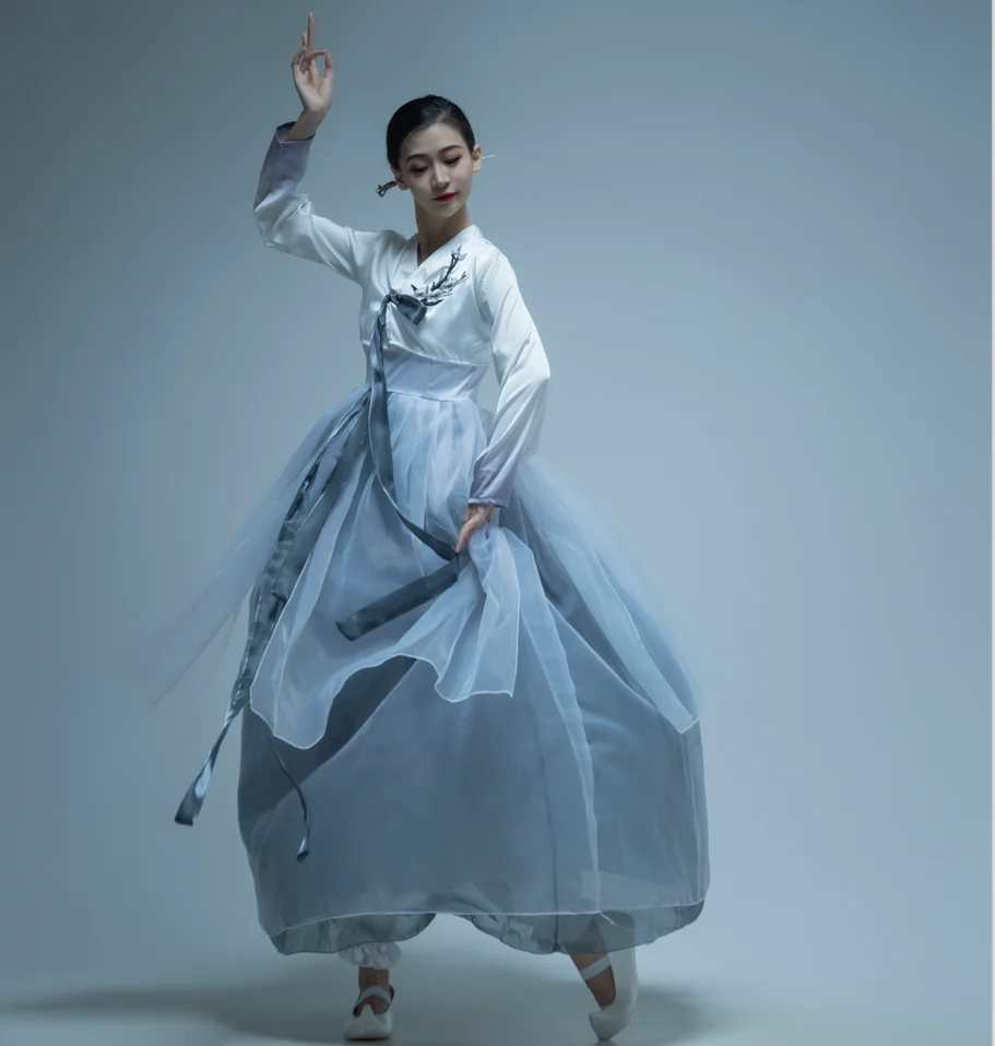 Traje de danza tradicional coreana Ele, nueva falda Sle para mujer, traje de práctica de actuación en escenario etéreo Dain