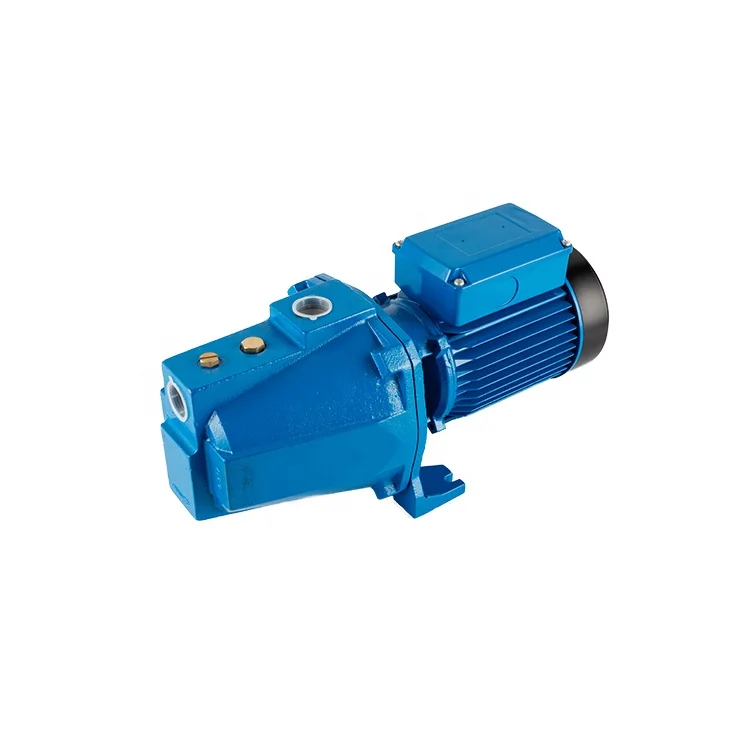 High Flow 0.75hp Booster Electric Clean Self-priming Farm Irrigation Industry Water Jet Pump Factory Price Cheap Pumps