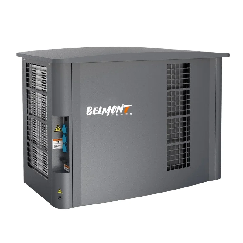 5.5kw 6kw 230v 400v 20kva 25kva 36kva 20kw 22kw 23kw 300kva Home Standby Powered Inverter Electric  Natural Gas Generator