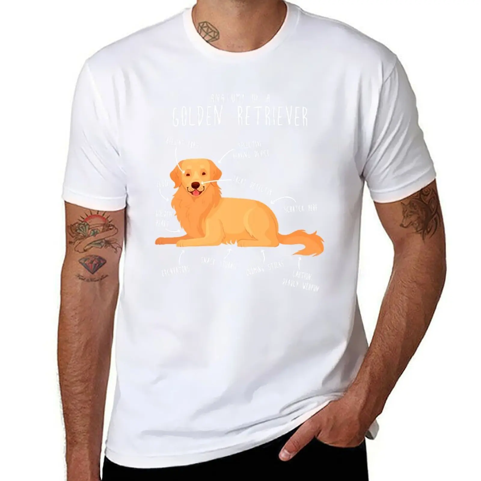 

Anatomy of a Golden Retriever T-Shirt man t shirt summer graphic t shirts for man T-Shirt