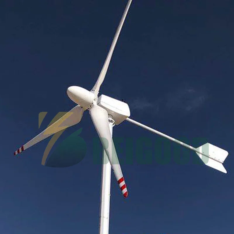 Home Use 500w 1000w 1500w 2000W Wind Generator 12v 24v 48v Voltage Wind Turbines FRP Blades For HOME USE With CE