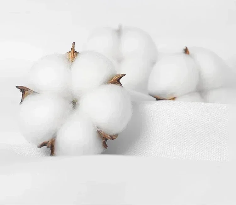 ديزني الأميرة عيد ميلاد سعيد كوكيت القوس تي شيرت ديزني الأميرة القلعة أضواء عيد الميلاد قميص، ارييل حسناء مولان سنو وايت #4