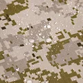 AOR1