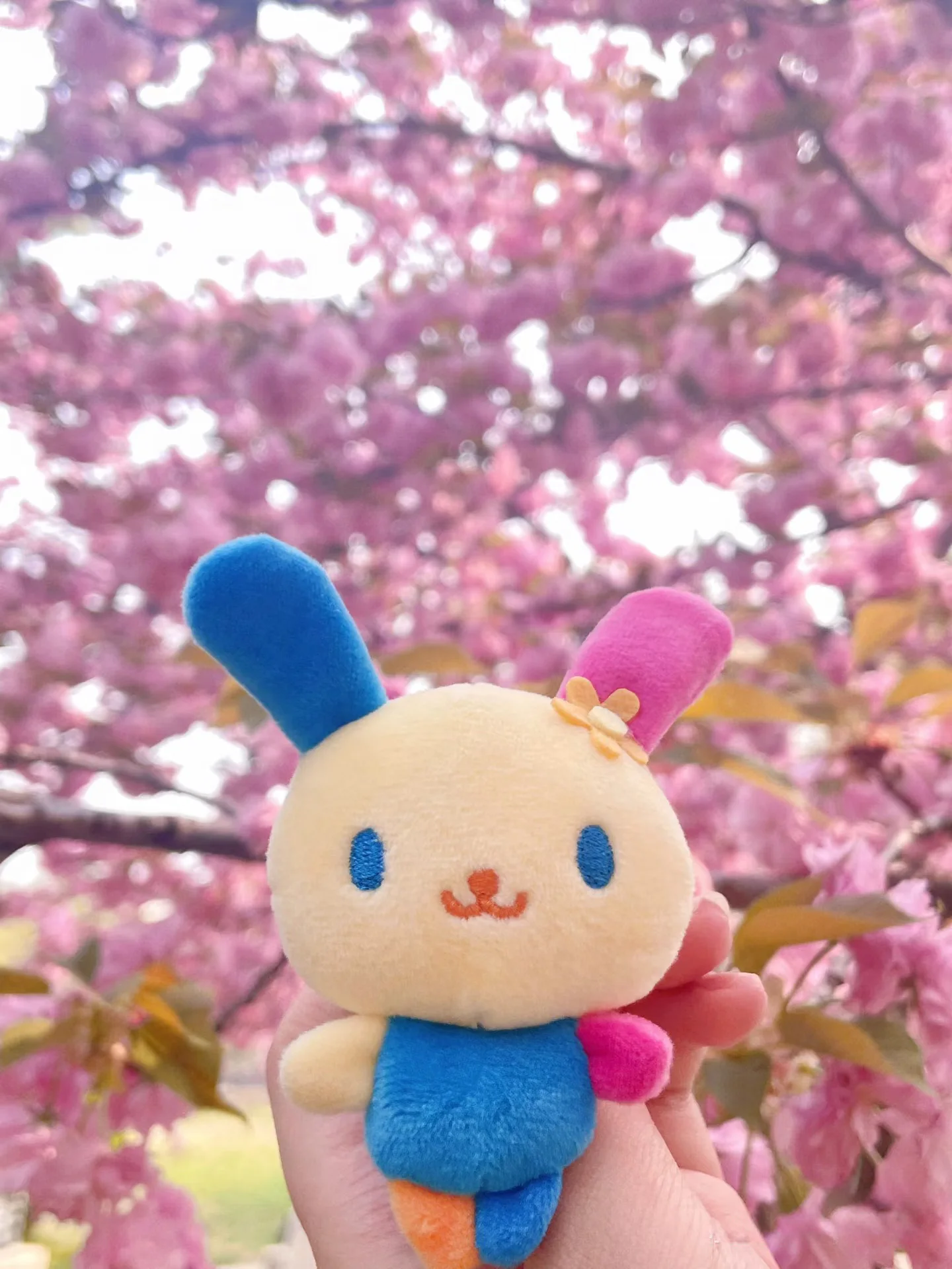 الكرتون زهرة الأرنب دمية قلادة لطيف اليابانية زهرة الأرنب دمية على ظهره الحلي فتاة القلب زوجين مفتاح سلسلة هدية