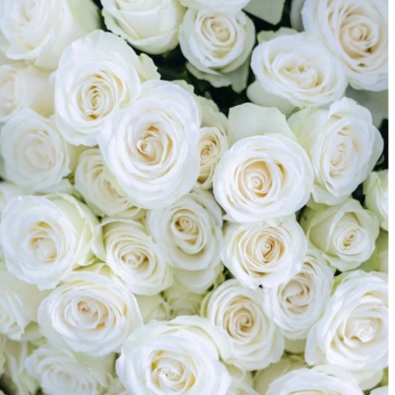 Caddxfpv F4 20A Esc…