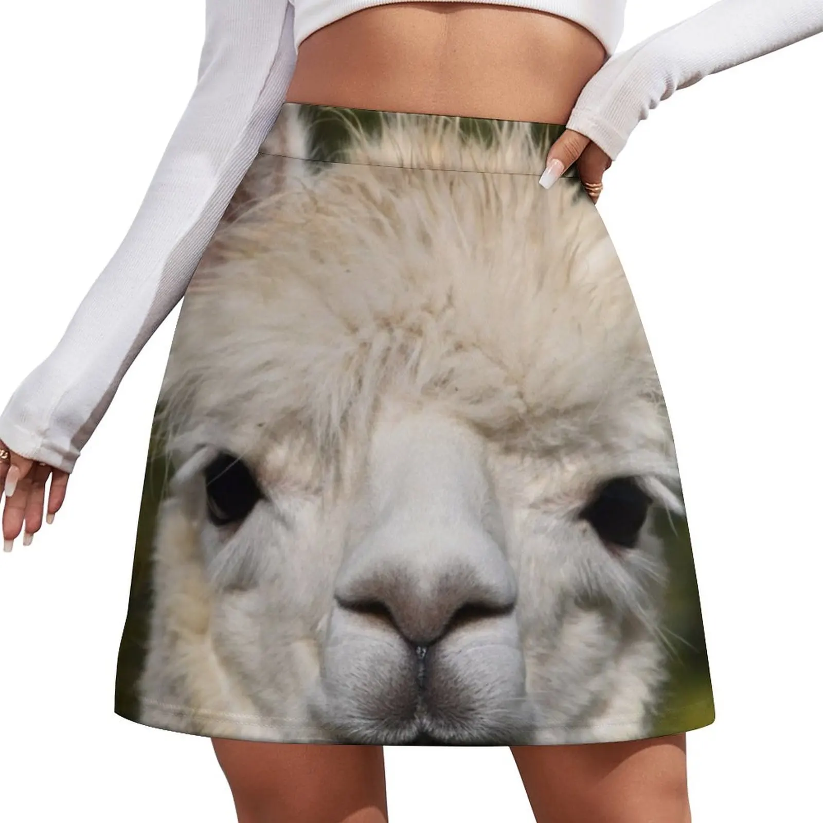 

LAMA Mini Skirt mini skirt women's clothing summer 2026 novelties Summer dress