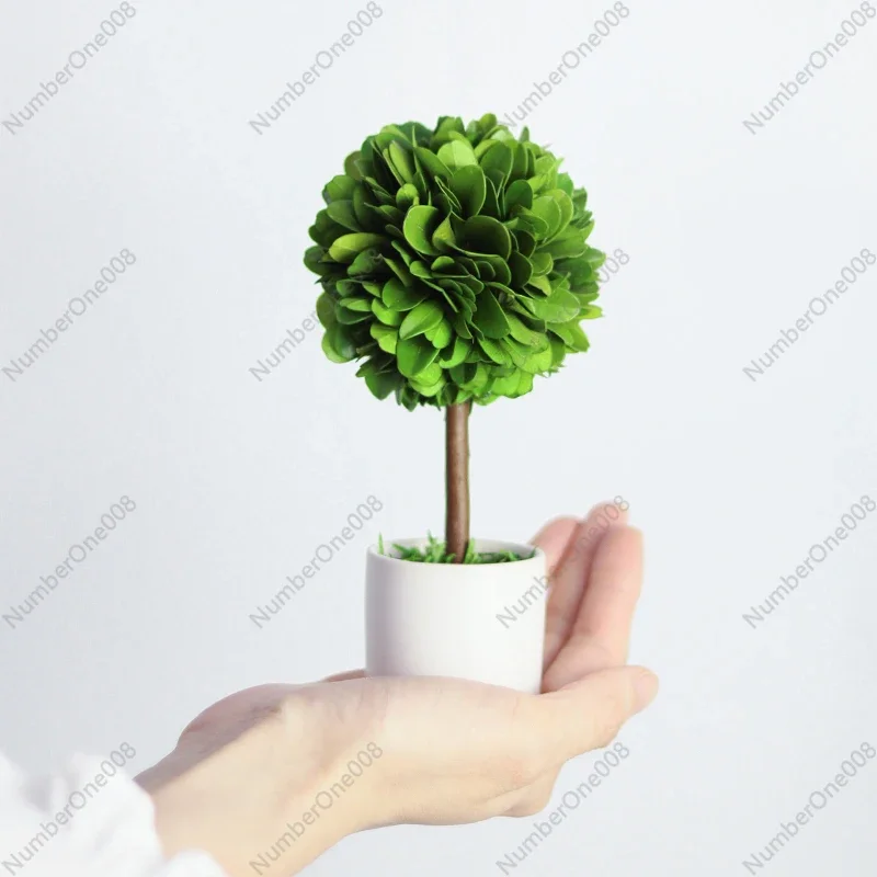 

Decorative Ornaments, Plants and Flowers in The Office Are Good To Raise, Living Room Mini Bonsai Desktop Small Potted Plants