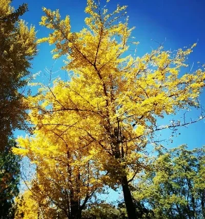 

1/10 RC On-road Drift Car Alloy Wheels Hubs Metal Wheel Rims Ttires for 1:10 RC Car HSP 94122 Tamiya XV01 TT02 HPI Ky