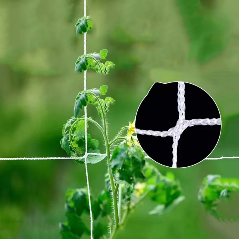 1.5 X 4.5M Garden Plant Trellis Netting Plant Support Vine Climbing Hydroponics Garden Net Accessories Multi Use