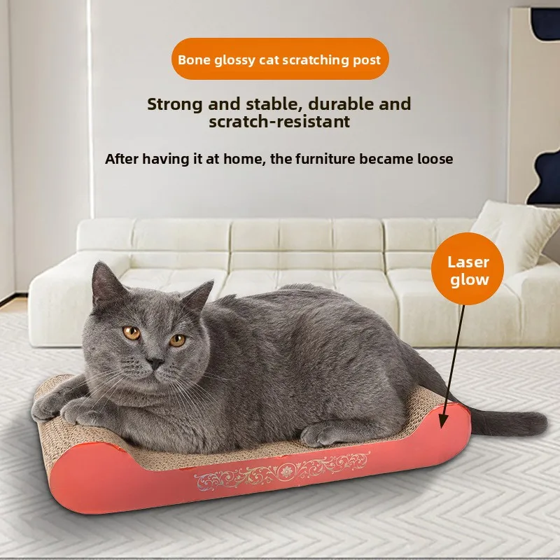 Bone Glossy Cat Scr…