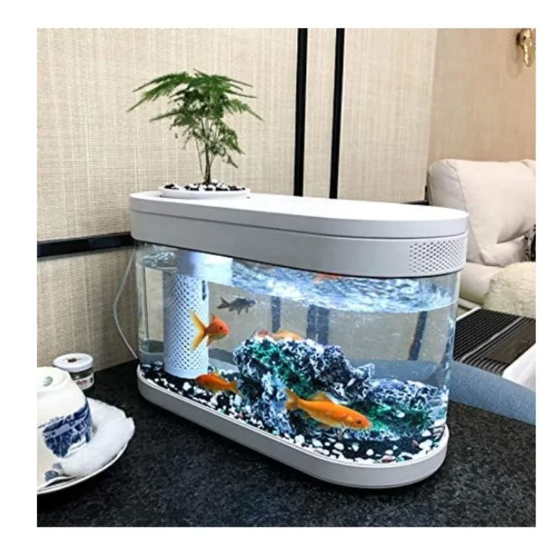 Geometry Fish Tank  Ecosystem Small Water Garden Home Decoration