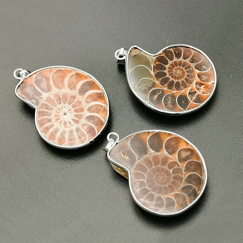 Natural Stones Pendants Necklace Ammonite Seashell Snail Ocean Reliquiae Conch Animal Raw Stone Necklace Men Jewellery