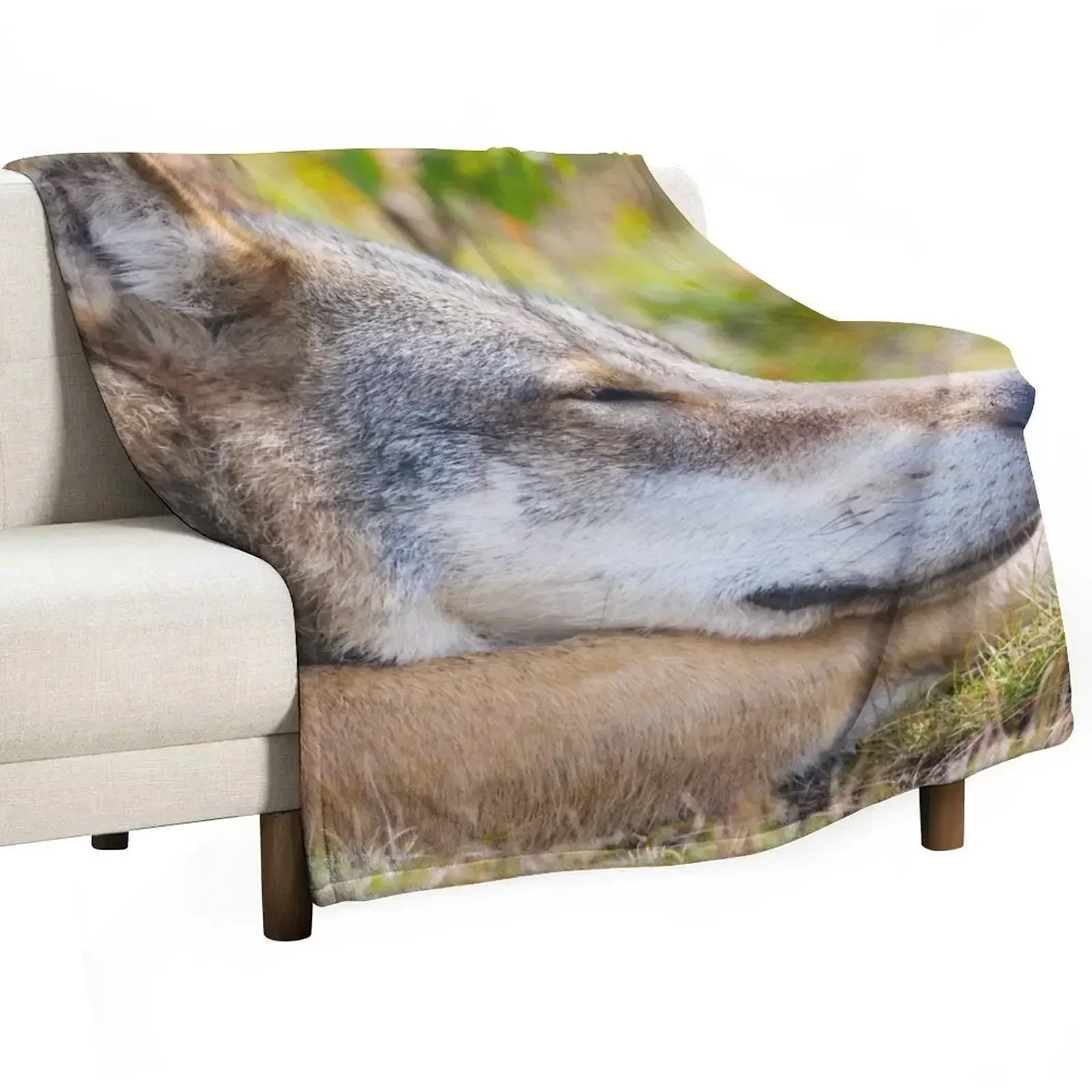 Beautiful coyote wallpaper Throw Blanket Large Blankets For Bed Hair Luxury Throw Flannel Fabric Soft Plaid Blankets