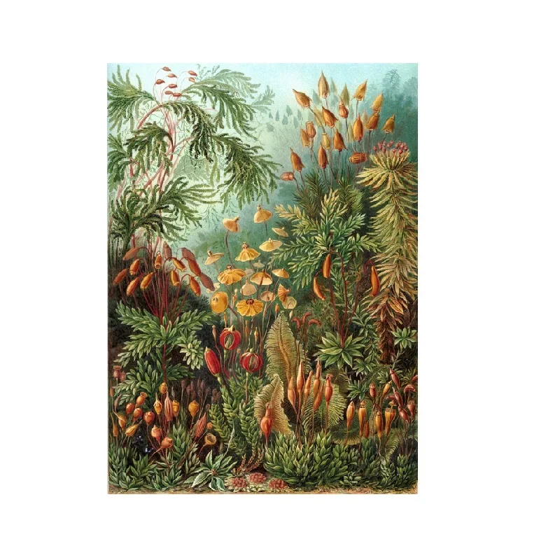 Lot Style Choose Beautiful Illustrations of Biologist Ernst Haeckel, Art Picture Print Silk Poster,Home Wall Decor