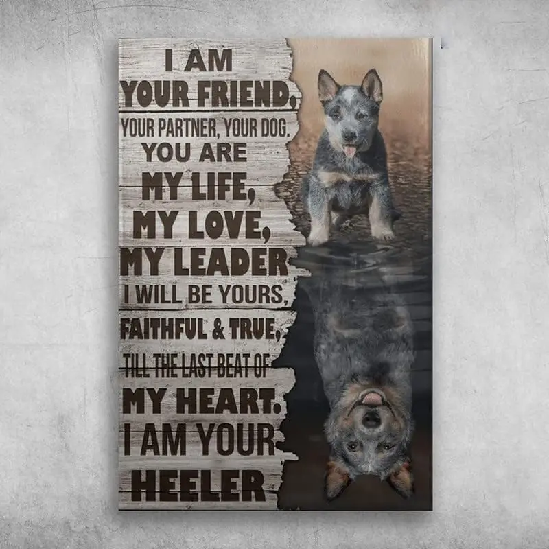 Funny Metal Tin Sign Blue Heeler I Am Your Friend Your Partner Your Dog You are My Life My Love Tin Sign Home Pub Coffee Shop Wa