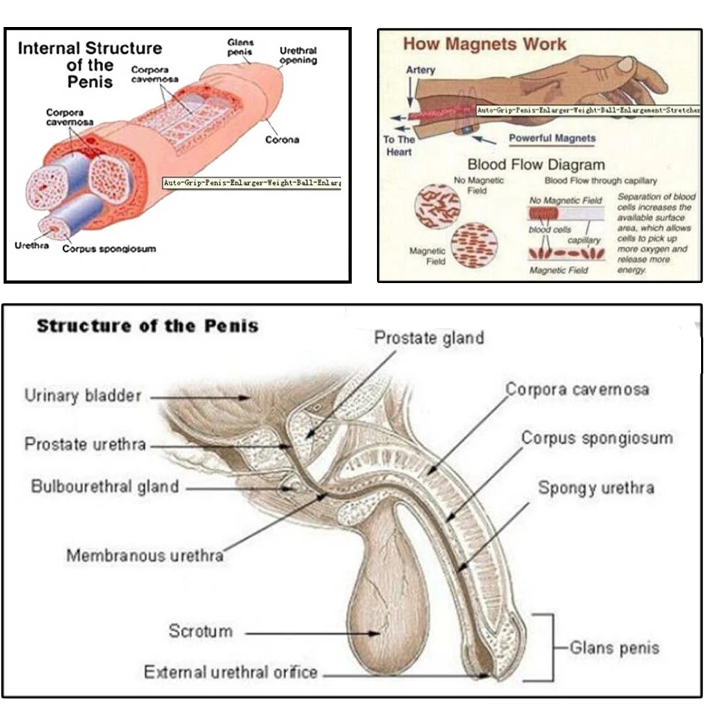 Male Extender Penis Stretcher Enlargement Vacuum Cup Enhancement Hanger Supply Cock Enlargement Trainning with glan sleeve