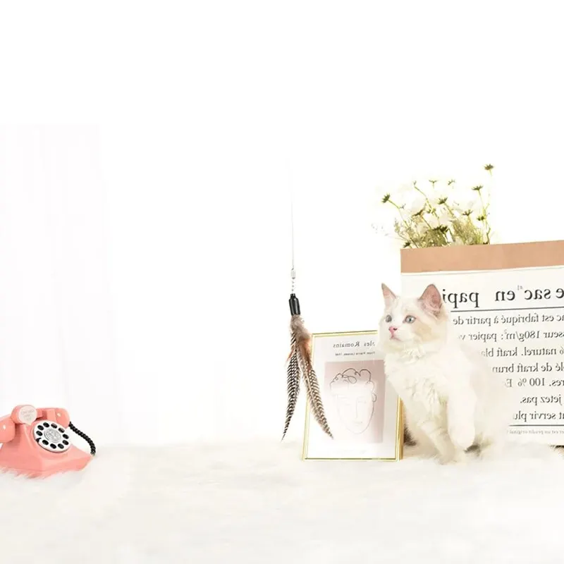 1 szt. Podstawowy drażniący kij z piórami dla kota z dzwonkiem z piór dla zabawnych kotów domowych interaktywna zabawka dla zwierząt domowych złoty