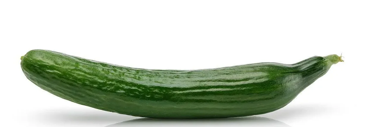 Comfortable ‘cucumber’ As The Picture