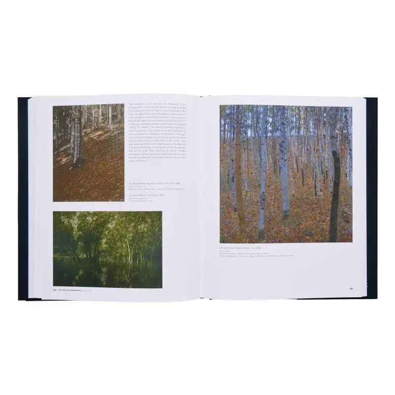 Klimt Landscapes Janis Staggs Prestel Publishing 9783791377360 Book