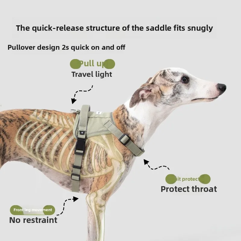 

Chest Strap Vest Type, Vest Speed Through Chest And Back, Leading Small Dog Walking Rope