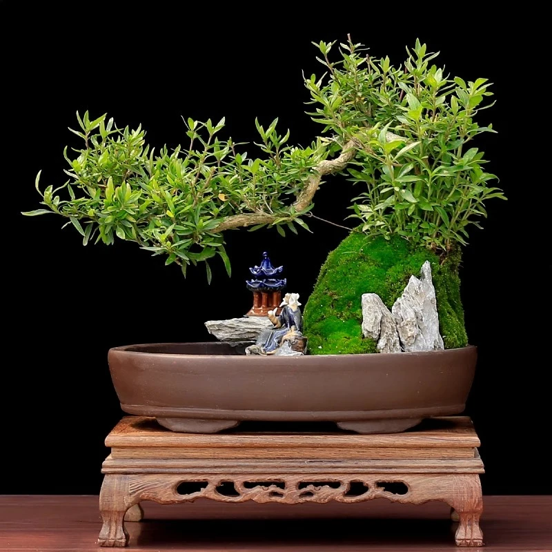 Small leaf sparrow tree stump shape rockery bonsai plant ornament