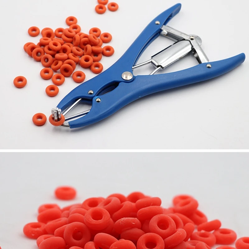 1 Set Animal Tail Removal Pigs Sheep Castration Pliers Elastic Pig Tail Cutter Veterinary Equipment