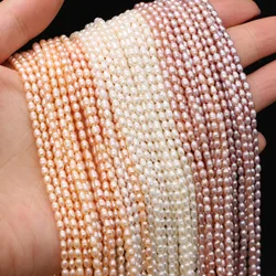AAA High Quality Natural Freshwater Pearls Small Rice Beads for Jewelry Making DIY Necklace Bracelet Earring Accessories 2.5-3mm