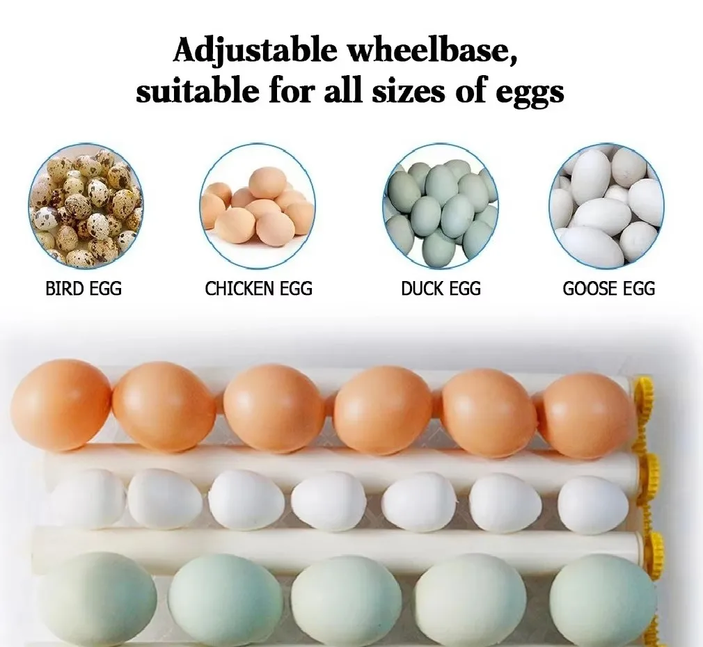 130 Egg Capacity Dual Power Supply Automatic Egg Incubator Egg Hatcher