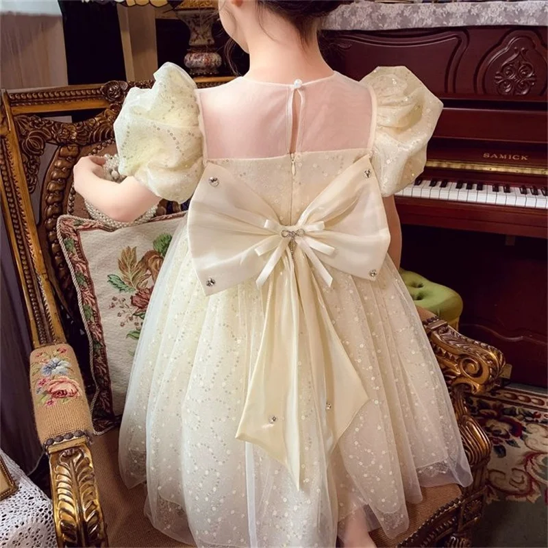 Girl Dress Kids Party Birthday Evening Gown Cotton 2024 Popular Spring Autumn High Quality Flower Girl Dress Children Clothing