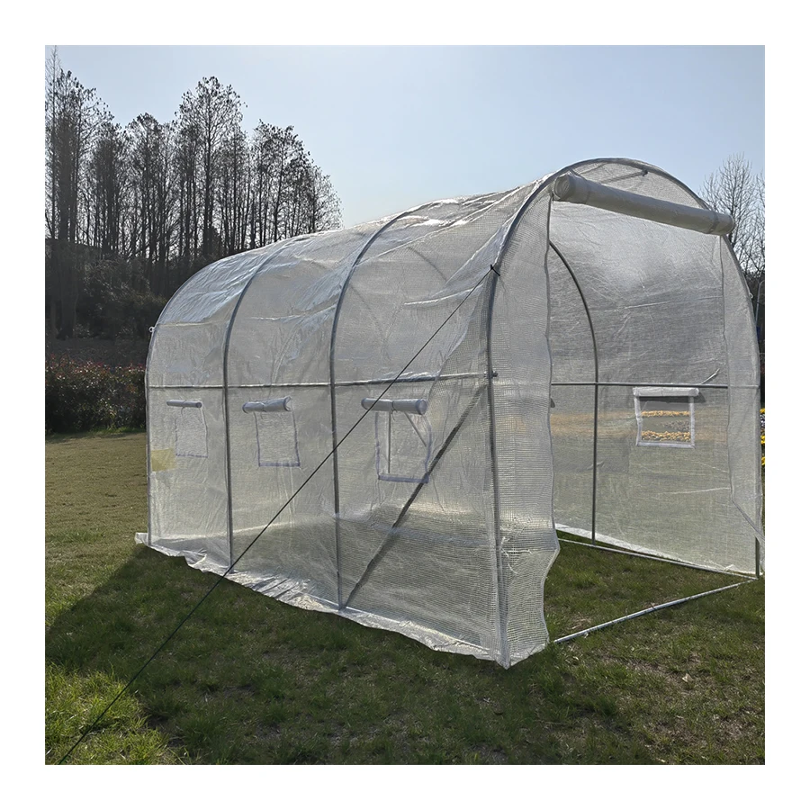 Film Small Size Mushroom Greenhouse Galvanized Steel Frame Structure
